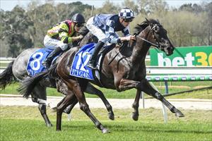 FRIENDS REVEL IN KYNETON DEBUT WIN